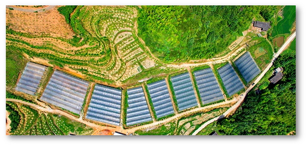 野外監控安裝 無線監控系統 無線監控安裝 野外監控安裝 無線監控系統 無線監控安裝